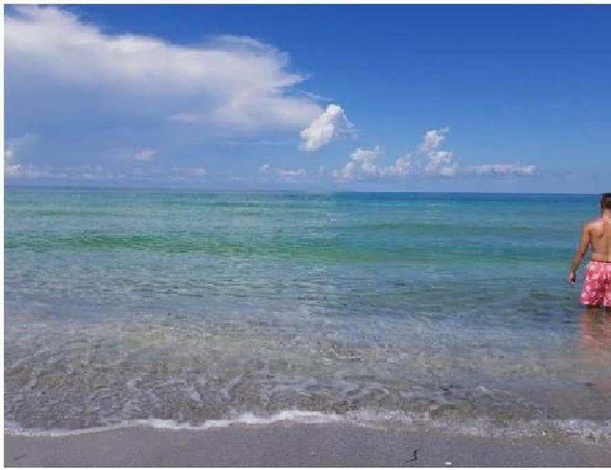 The Beach On Longboat Key Exterior foto